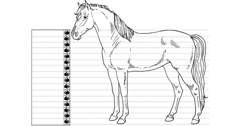 how-to-measure-a-horse-s-height-national-equine