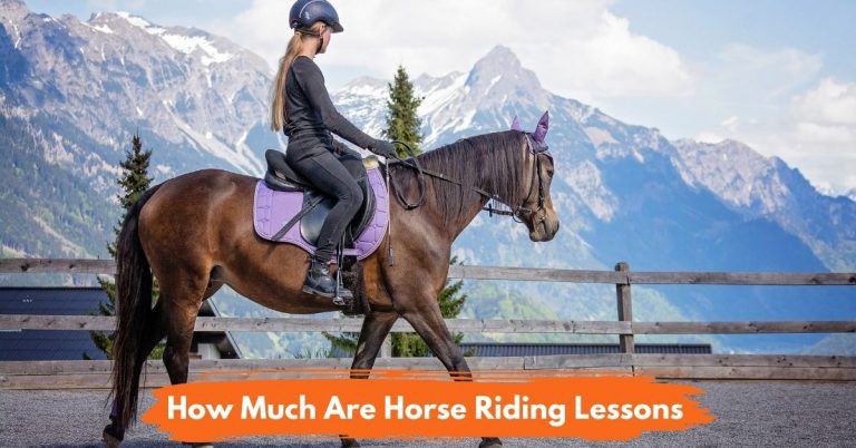 how-much-do-horse-riding-lessons-cost-howmuchisit