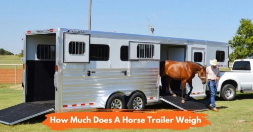 how-much-does-a-horse-trailer-weigh-national-equine