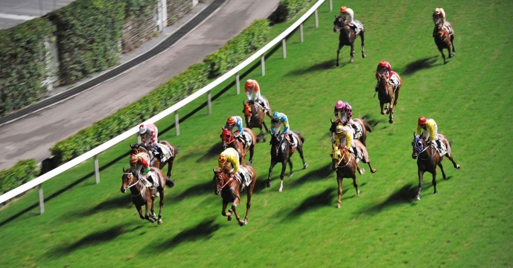 how-much-does-a-race-horse-cost-national-equine